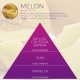 <B>MELON</B> SPRAY 250 ml odświeżacz powietrza PREMIUM